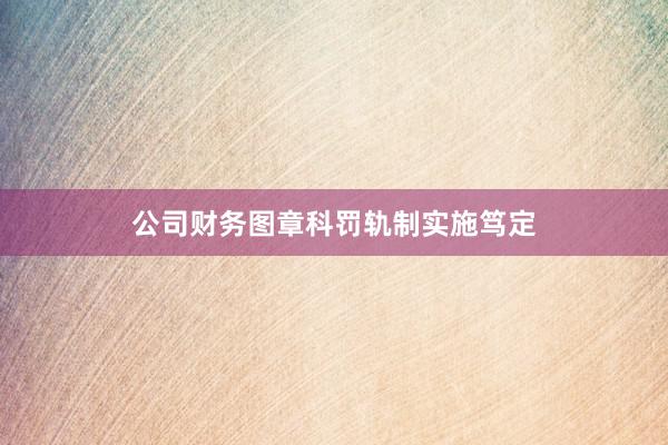公司财务图章科罚轨制实施笃定